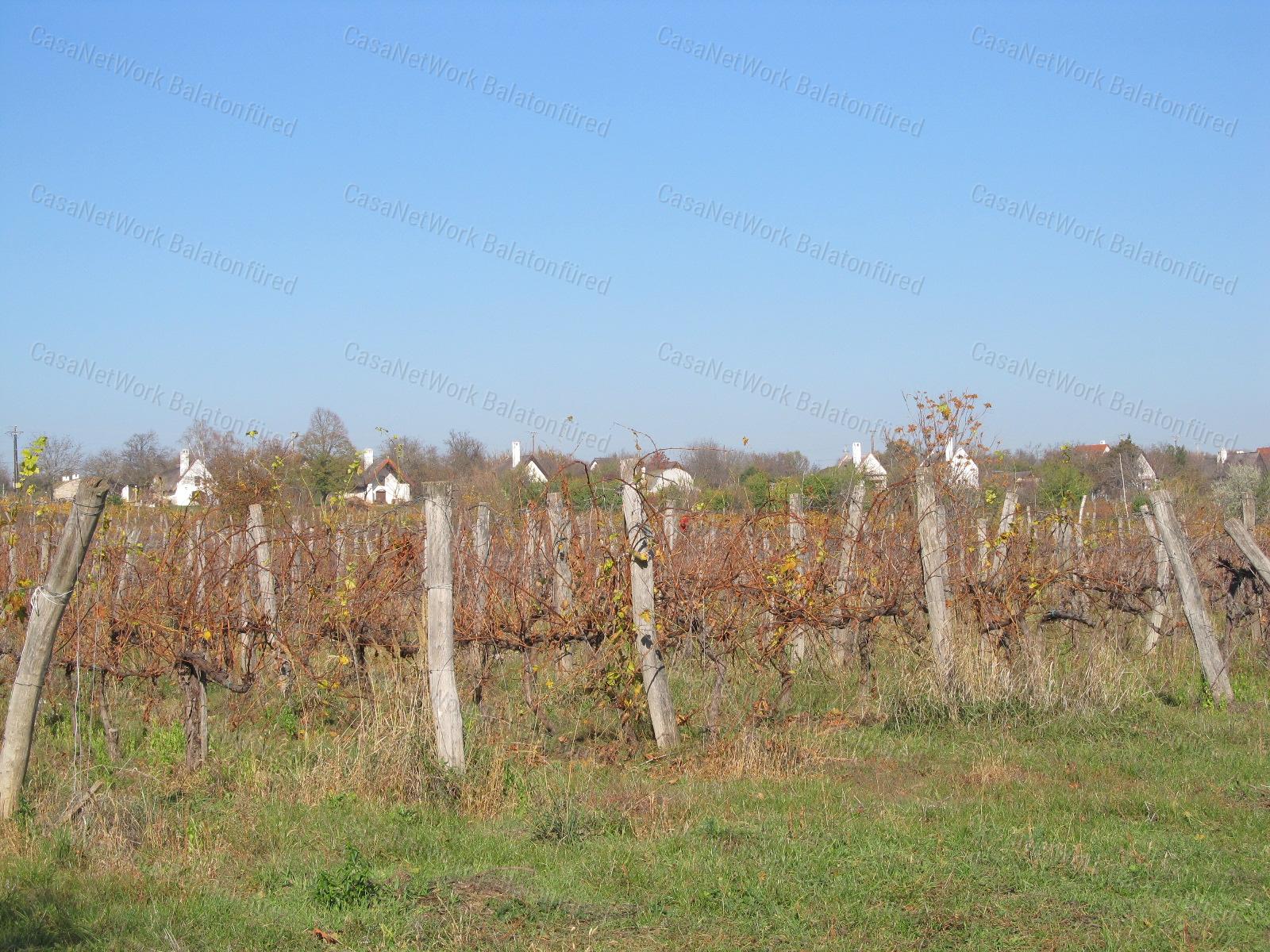 Kertes mezőgazdasági terület Vörösmálon