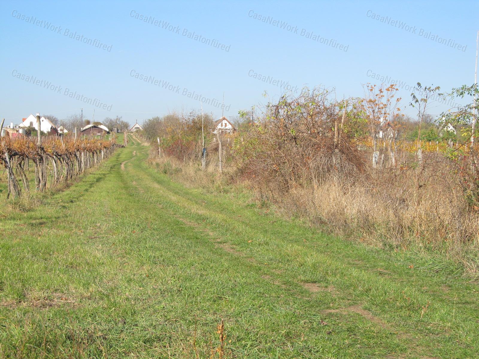 Kertes mezőgazdasági terület Vörösmálon