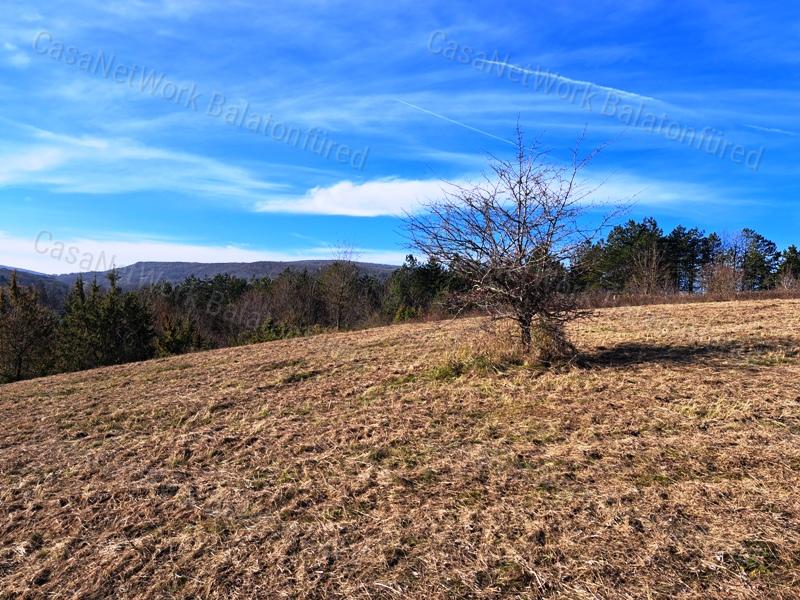 PANORÁMÁS építhető - eladó ÉPÍTÉSI TELEK KAPOLCSON