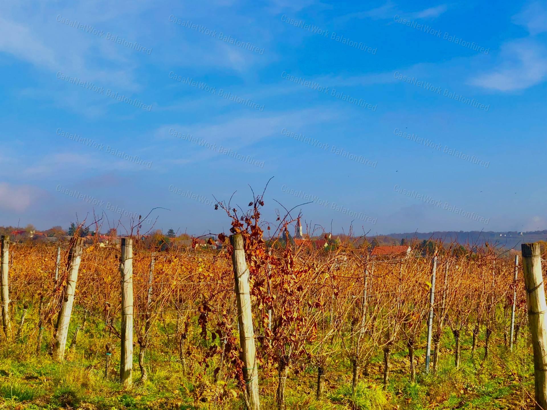 Táj-Panorámás beépíthető szőlős telek ELADÓ