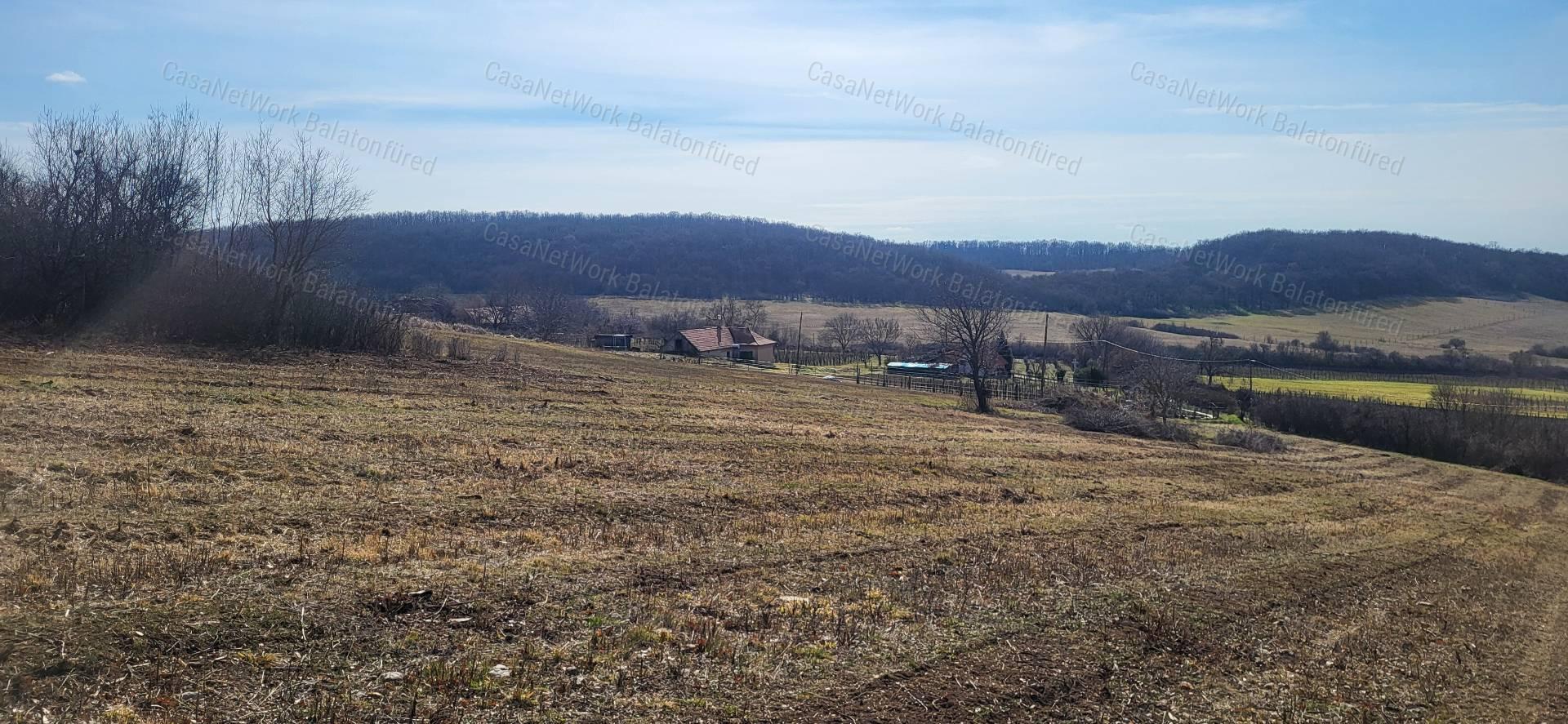 Táj-Panorámás beépíthető szőlős telek ELADÓ