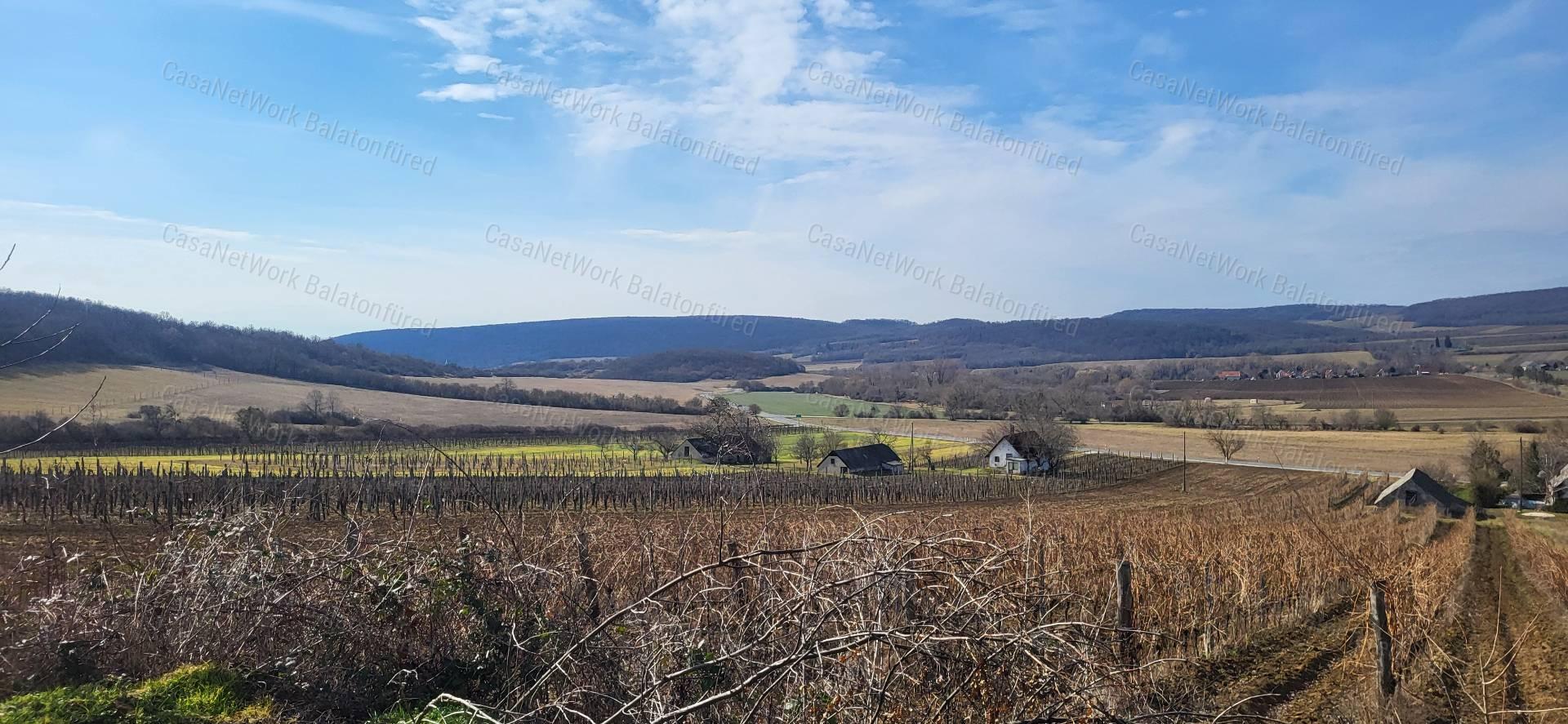 Táj-Panorámás beépíthető szőlős telek ELADÓ
