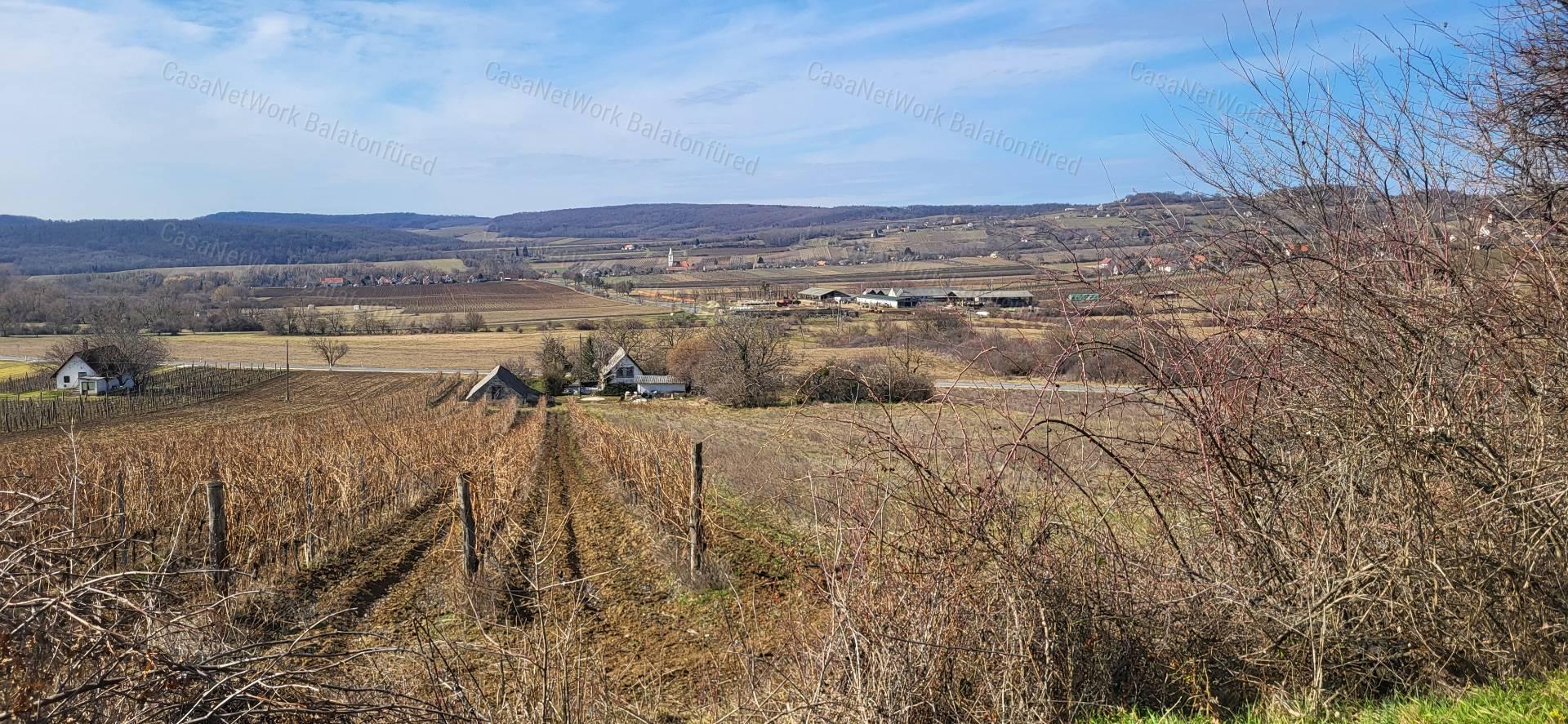 Táj-Panorámás beépíthető szőlős telek ELADÓ