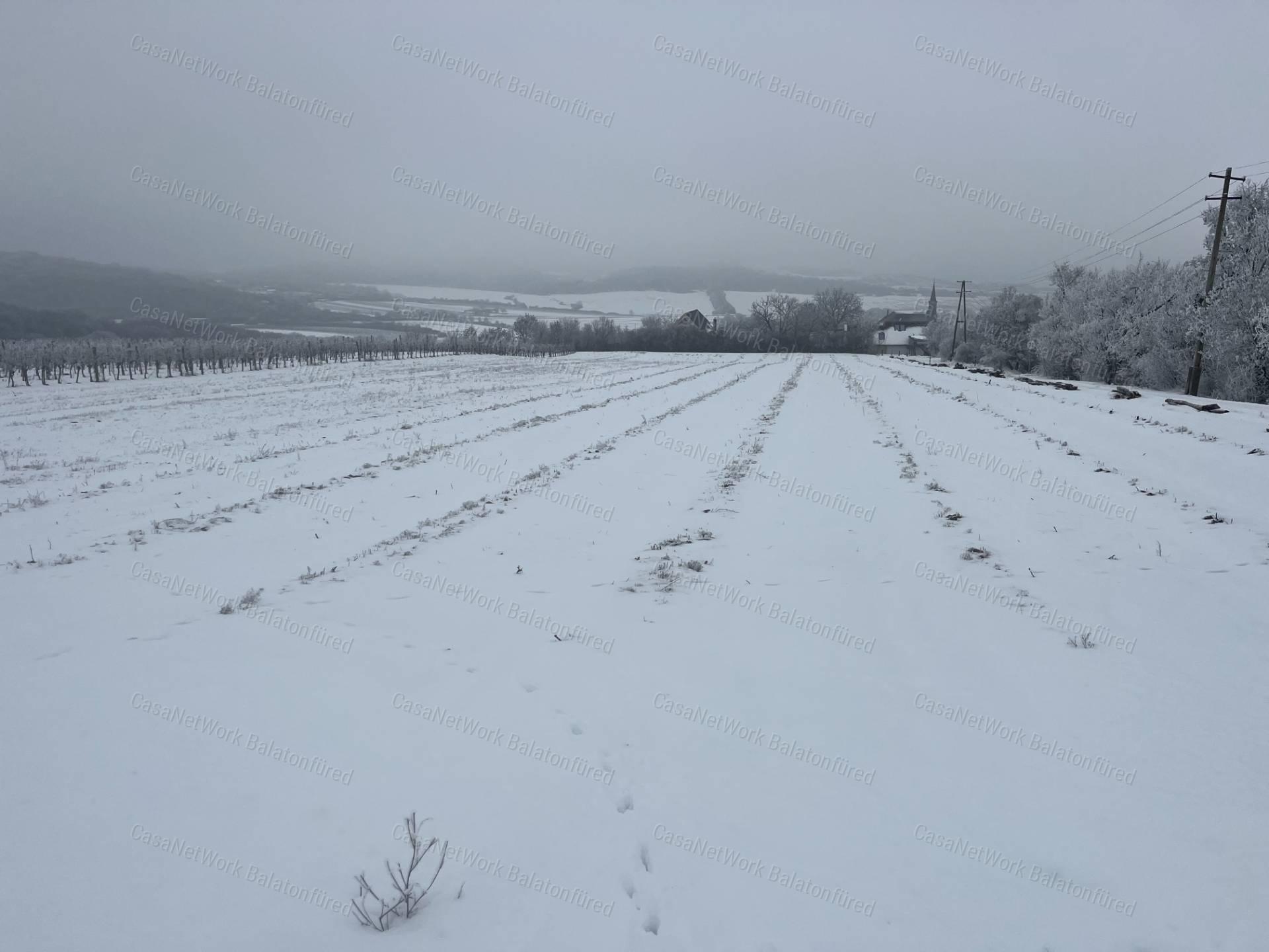PANORÁMÁS SZŐLŐ A NIVEGY-VÖLGY SZÍVÉBEN SZENTJAKABFÁN