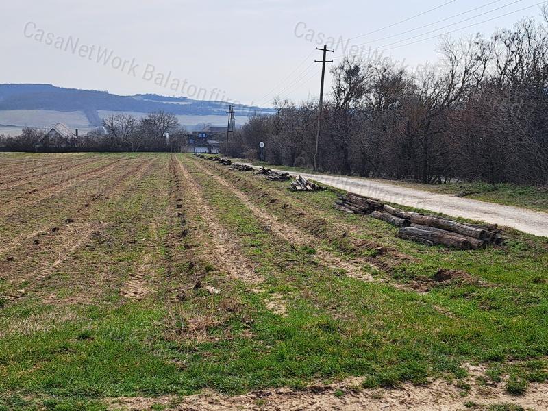 PANORÁMÁS SZŐLŐ A NIVEGY-VÖLGY SZÍVÉBEN SZENTJAKABFÁN