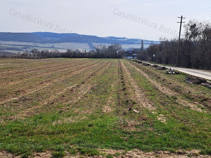 PANORÁMÁS SZŐLŐ A NIVEGY-VÖLGY SZÍVÉBEN SZENTJAKABFÁN