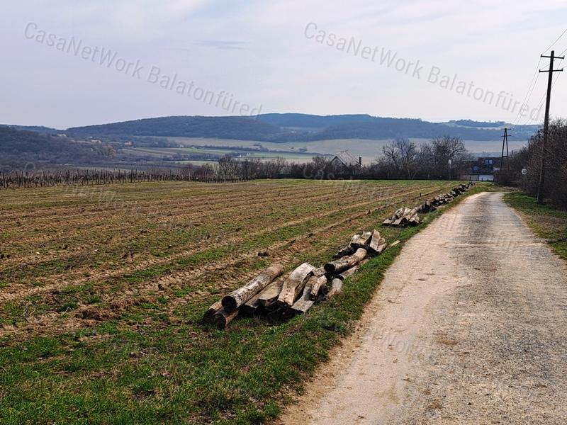 PANORÁMÁS SZŐLŐ A NIVEGY-VÖLGY SZÍVÉBEN SZENTJAKABFÁN