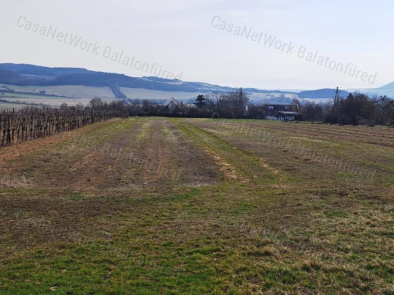 PANORÁMÁS SZŐLŐ A NIVEGY-VÖLGY SZÍVÉBEN SZENTJAKABFÁN