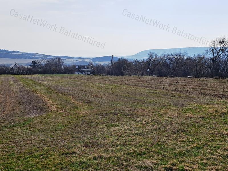 PANORÁMÁS SZŐLŐ A NIVEGY-VÖLGY SZÍVÉBEN SZENTJAKABFÁN