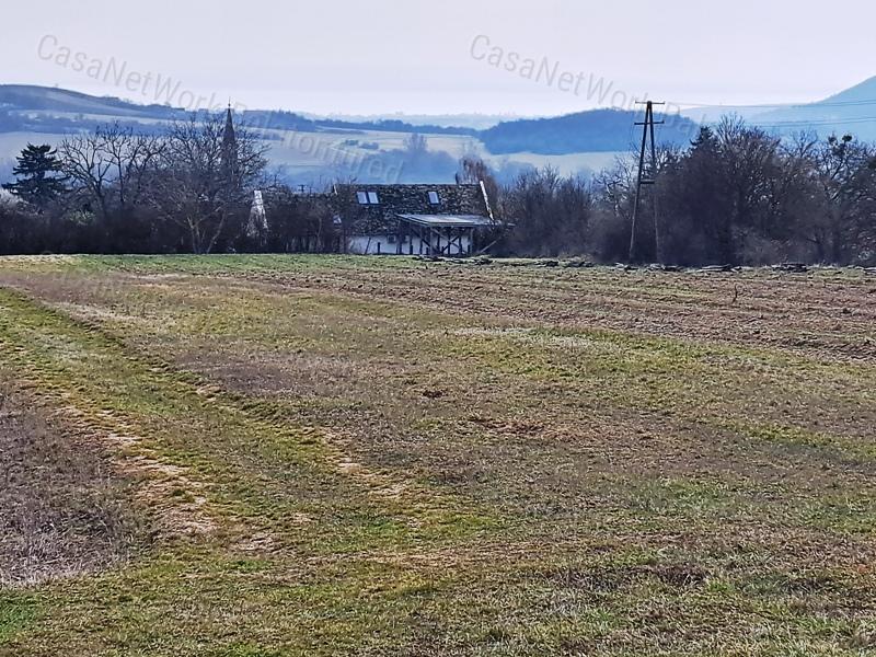 PANORÁMÁS SZŐLŐ A NIVEGY-VÖLGY SZÍVÉBEN SZENTJAKABFÁN