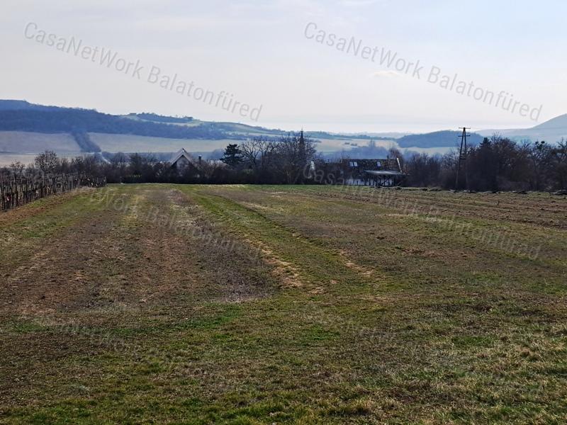 PANORÁMÁS SZŐLŐ A NIVEGY-VÖLGY SZÍVÉBEN SZENTJAKABFÁN