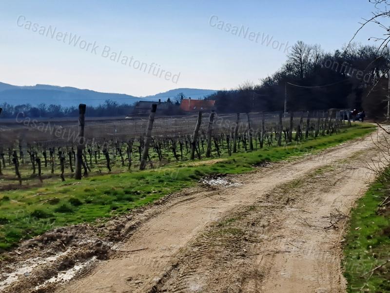 PANORÁMÁS SZŐLŐ A NIVEGY-VÖLGY SZÍVÉBEN - SZENTJAKABFÁN