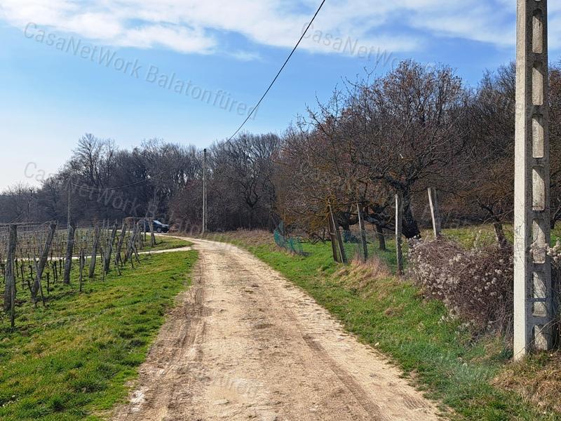 PANORÁMÁS SZŐLŐ A NIVEGY-VÖLGY SZÍVÉBEN - SZENTJAKABFÁN