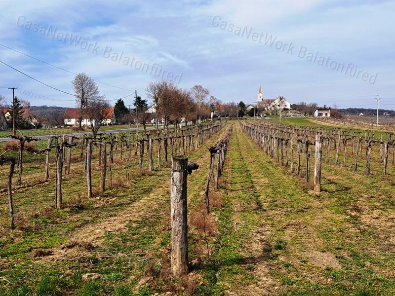 PANORÁMÁS SZŐLŐ A NIVEGY-VÖLGY SZÍVÉBEN SZENTJAKABFÁN