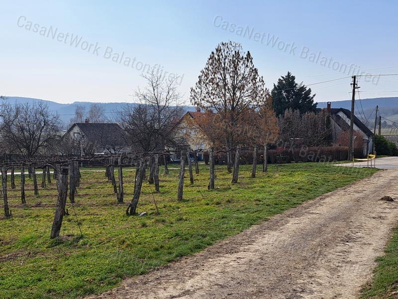 PANORÁMÁS SZŐLŐ A NIVEGY-VÖLGY SZÍVÉBEN SZENTJAKABFÁN