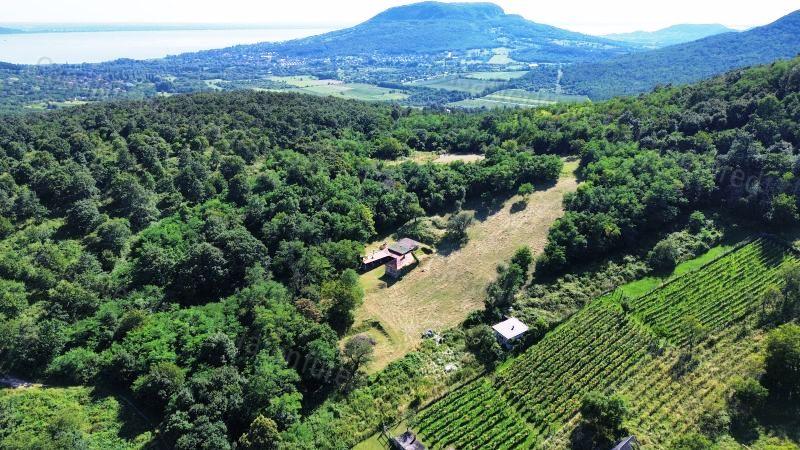 Nagyméretű épülettel, erdőszéli GAZDASÁGI ÉPÜLET KÁPTALANTÓTIBAN