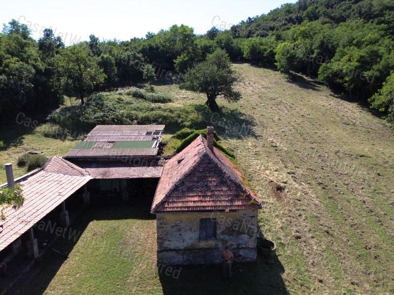 Nagyméretű épülettel, erdőszéli GAZDASÁGI ÉPÜLET KÁPTALANTÓTIBAN