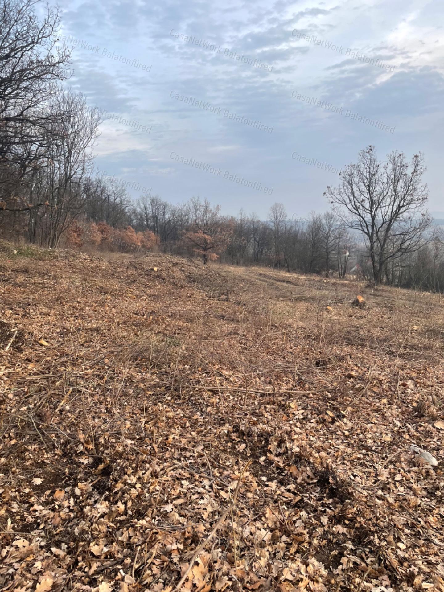 Balatonszőlősi panorámás telek eladó