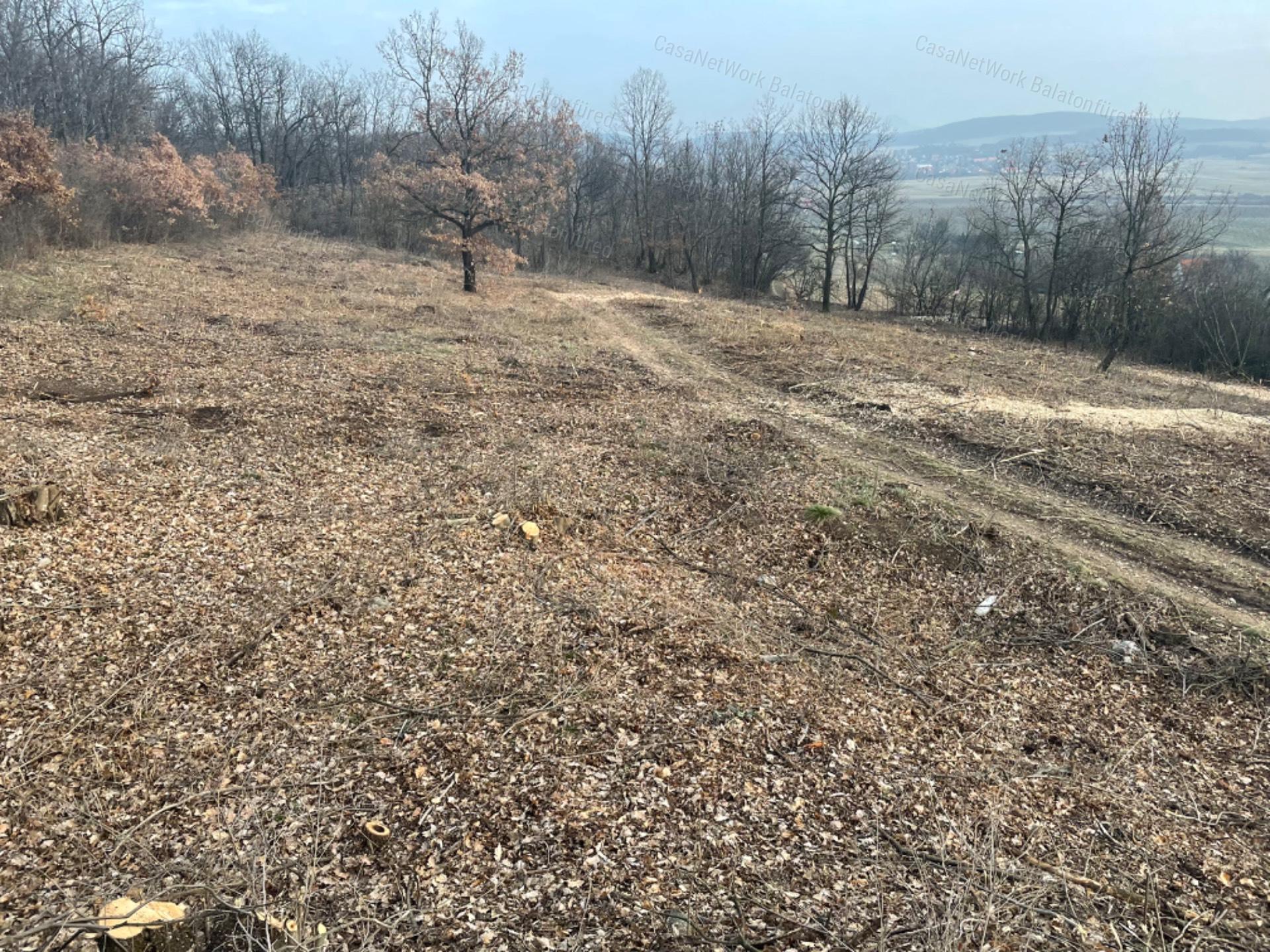 Balatonszőlősön panorámás telek eladó