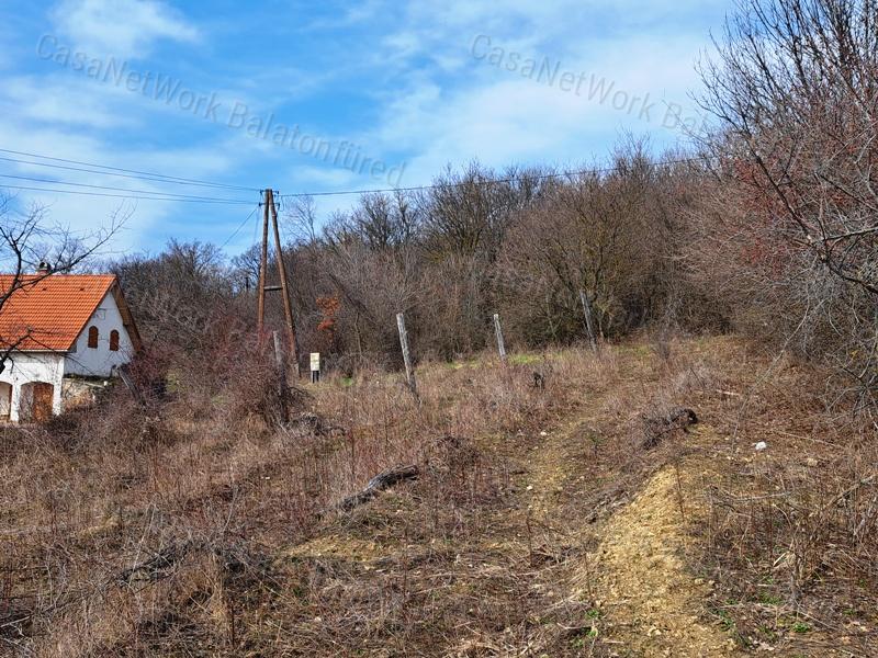 Építhető, tájpanorámás -MEZŐGAZDASÁGI TERÜLET BALATONCSICSÓN