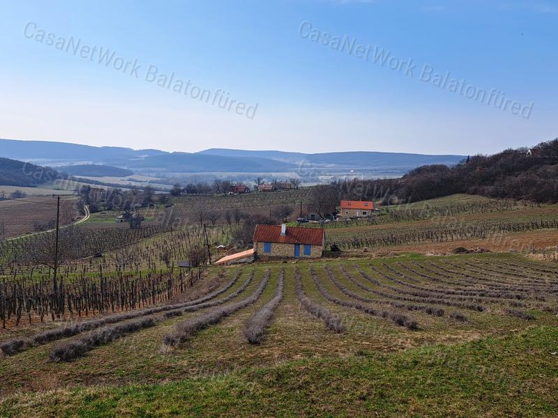 ÉPÍTHETŐ, TÁJPANORÁMÁS MEZŐGAZDASÁGI TERÜLET BALATONCSICSÓN