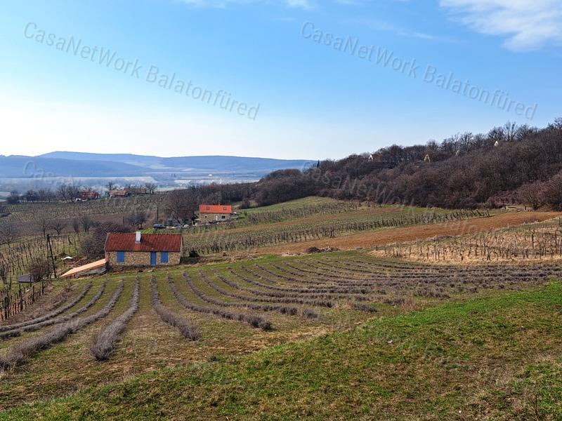 ÉPÍTHETŐ, TÁJPANORÁMÁS MEZŐGAZDASÁGI TERÜLET BALATONCSICSÓN
