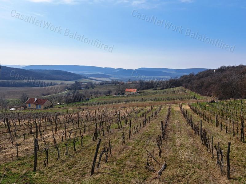 TÁJPANORÁMÁS, ÉPÍTHETŐ ZÁRTKERT BALATONCSICSÓN