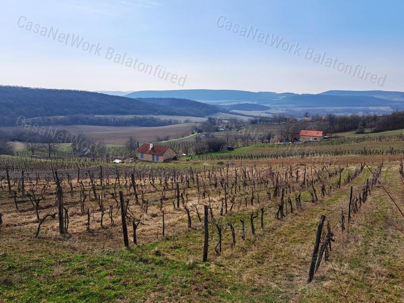 TÁJPANORÁMÁS, ÉPÍTHETŐ ZÁRTKERT BALATONCSICSÓN