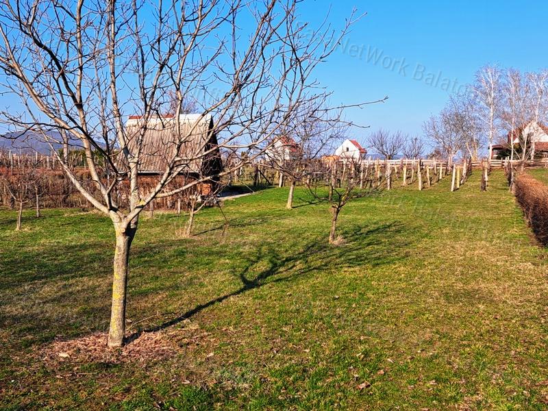 Építhető, jó lokáció - eladó MEZŐGAZDASÁGI TERÜLET BALATONFÜREDEN
