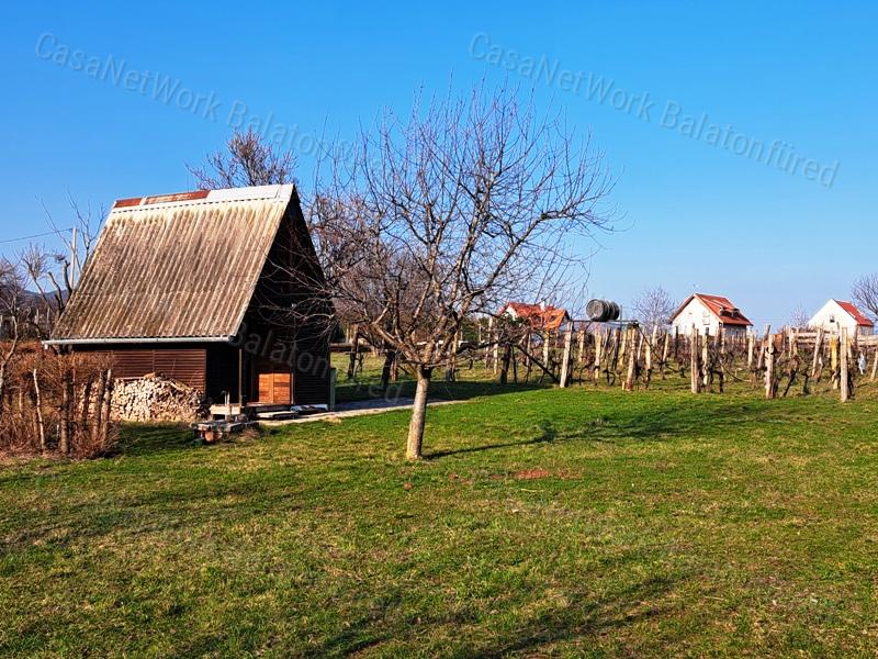 Építhető, jó lokáció - eladó MEZŐGAZDASÁGI TERÜLET BALATONFÜREDEN