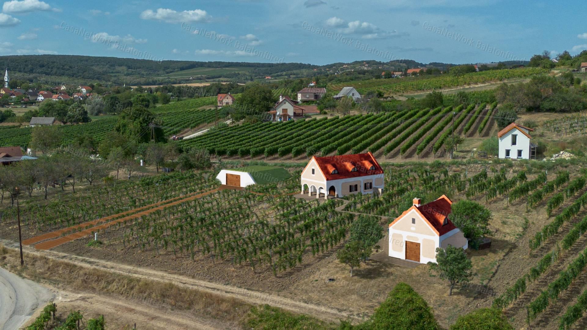 Örökpanorámás beépíthető szőlő terület