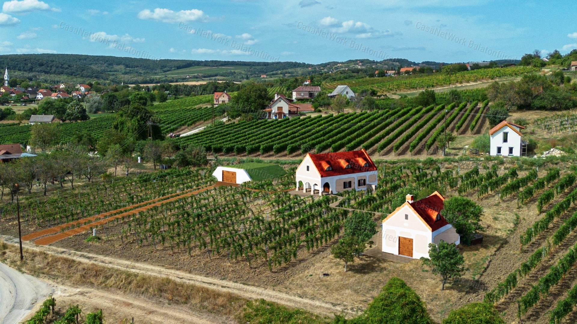 Örökpanorámás beépíthető szőlő terület