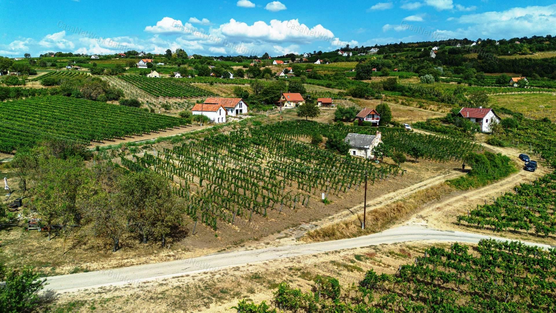 Elvehetetlen örök panorámás pince-présház