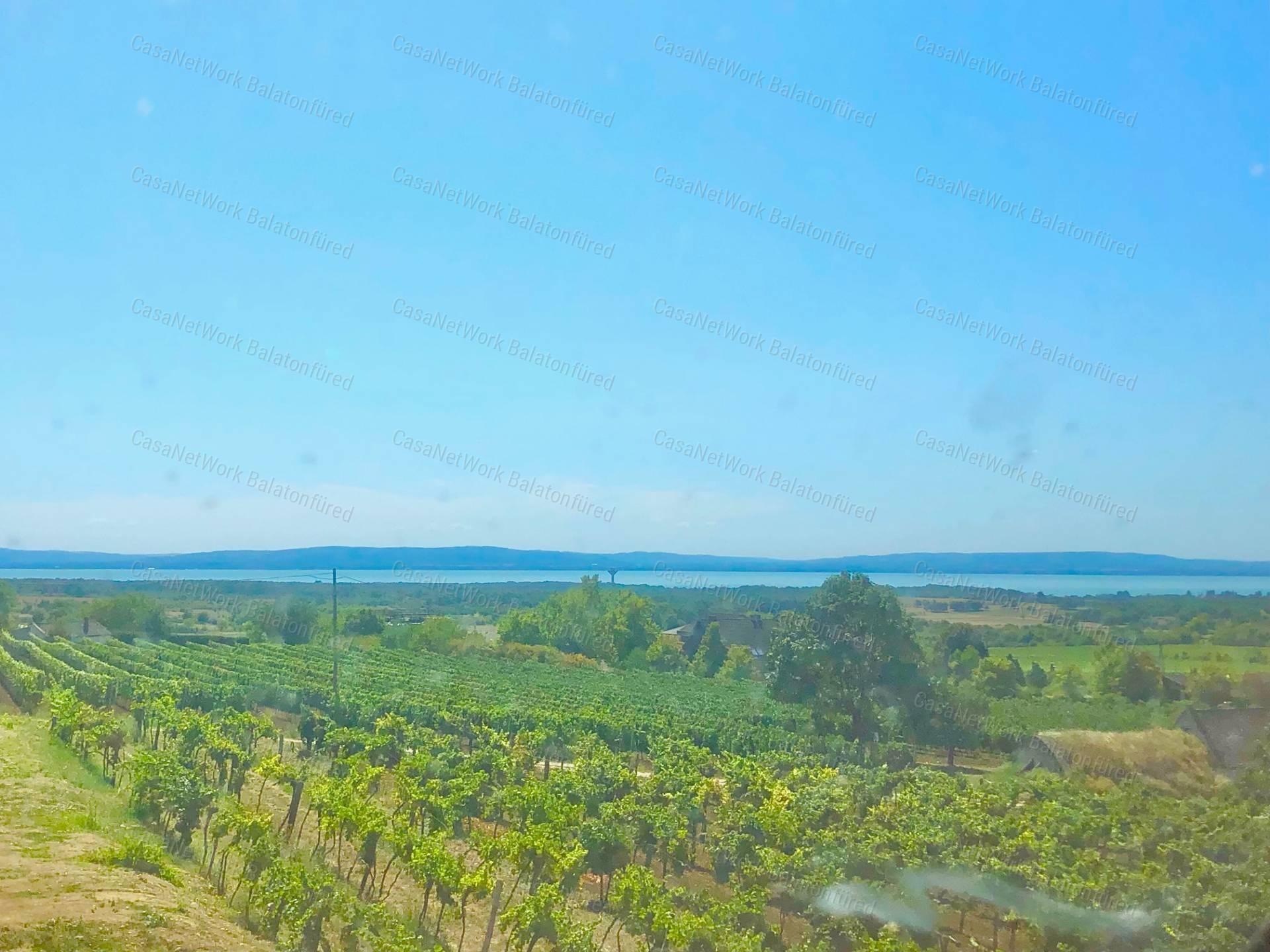 Elvehetetlen örök panorámás pince-présház