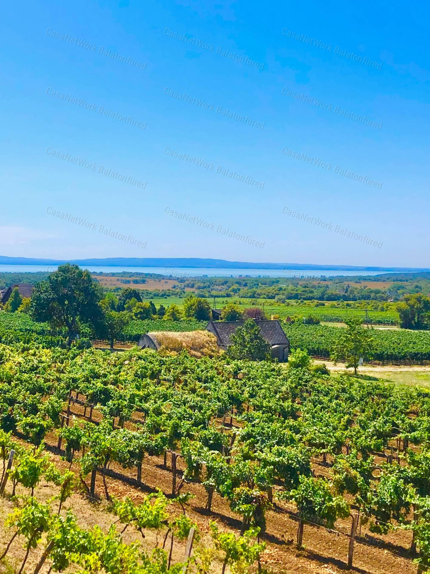 Elvehetetlen örök panorámás pince-présház