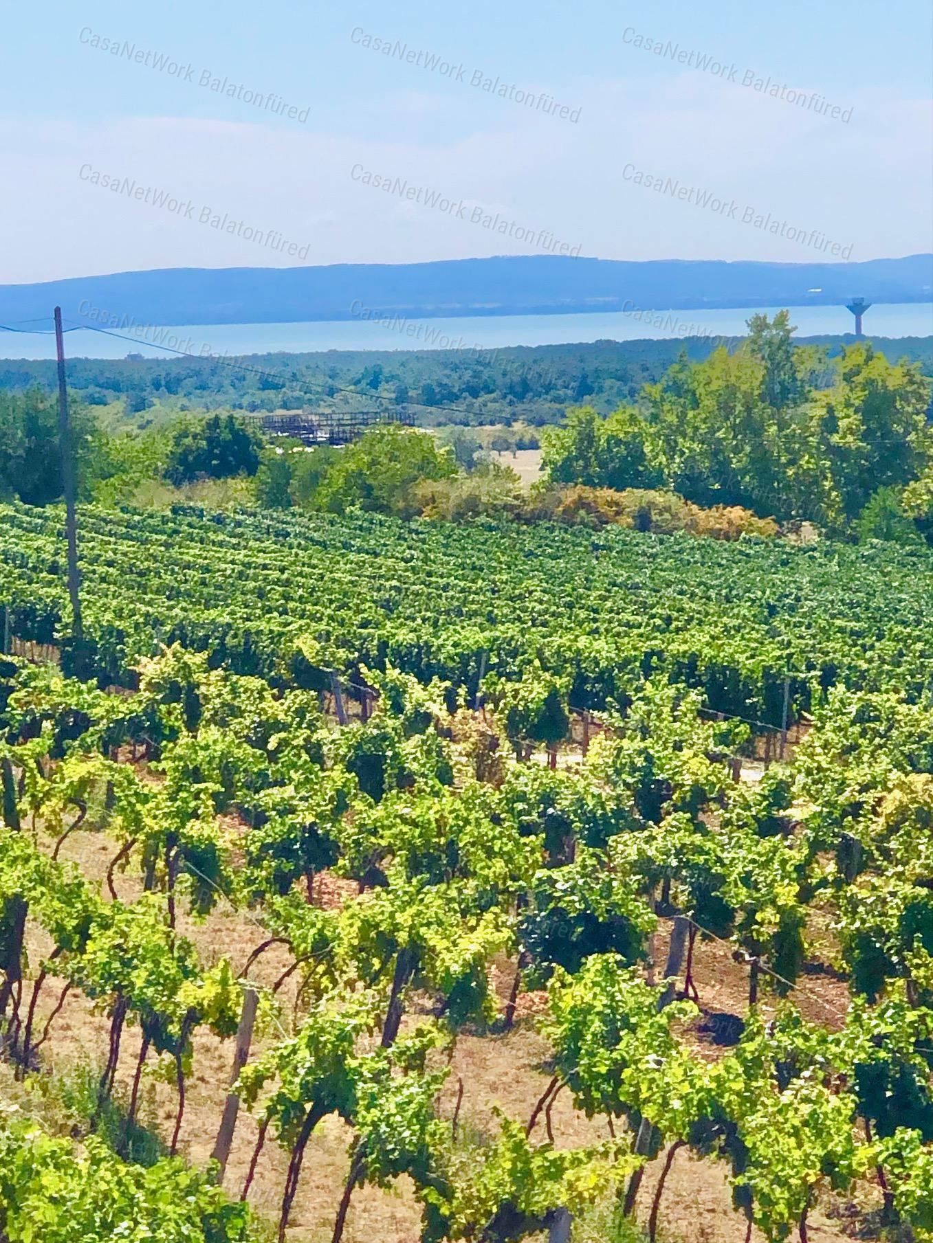 Elvehetetlen örök panorámás pince-présház