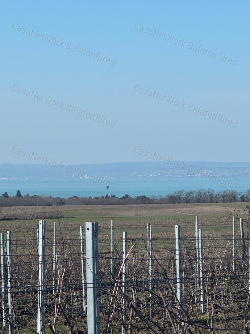 Balatoni panorámás szőlőbirtok eladó Balatonvilágoson - 3000 nm beépítéssel