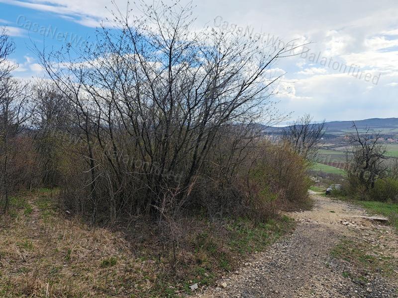 Panorámás, építhető ZÁRTKERT eladó PÉCSELYEN