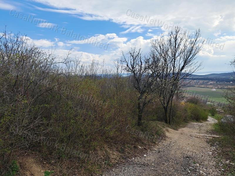Panorámás, építhető ZÁRTKERT eladó PÉCSELYEN
