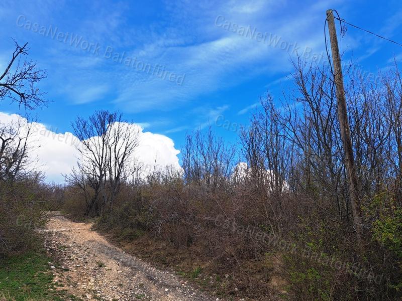 Panorámás, építhető ZÁRTKERT eladó PÉCSELYEN
