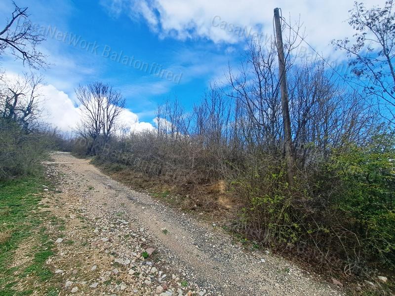 Panorámás, építhető ZÁRTKERT eladó PÉCSELYEN