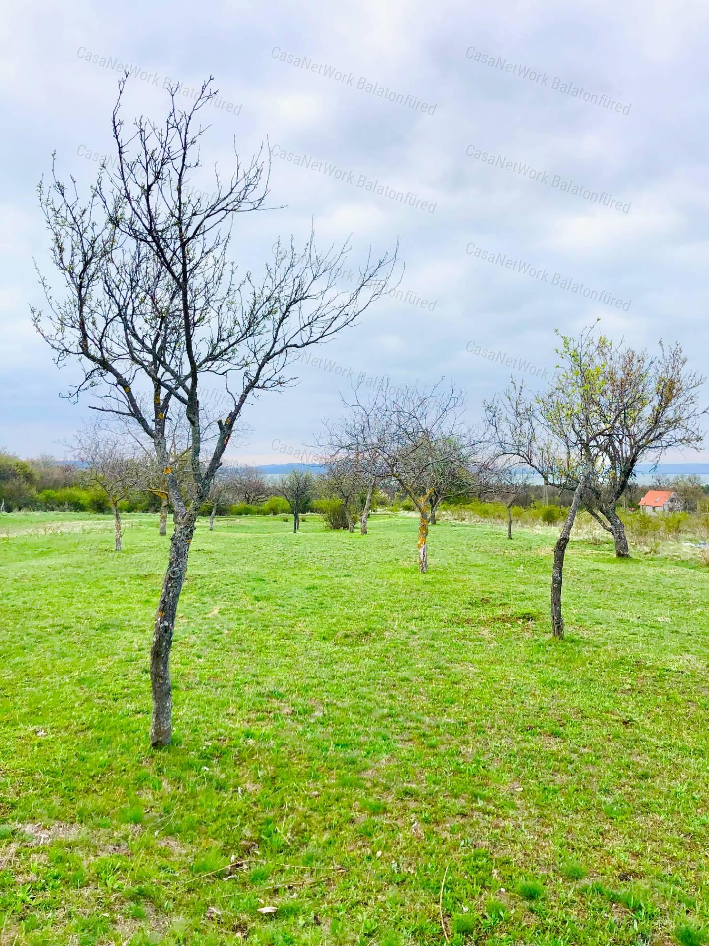 Elvehetetlen balatoni panoráma