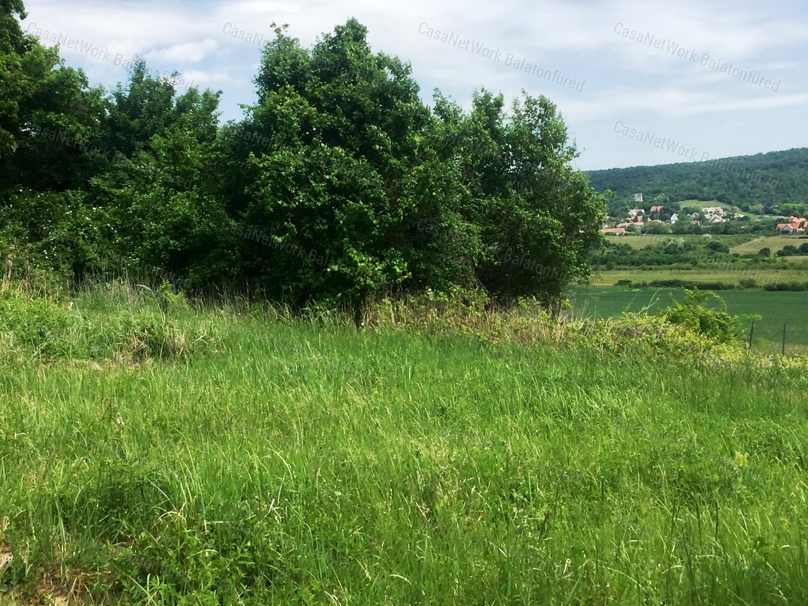 Részpanorámás terület
