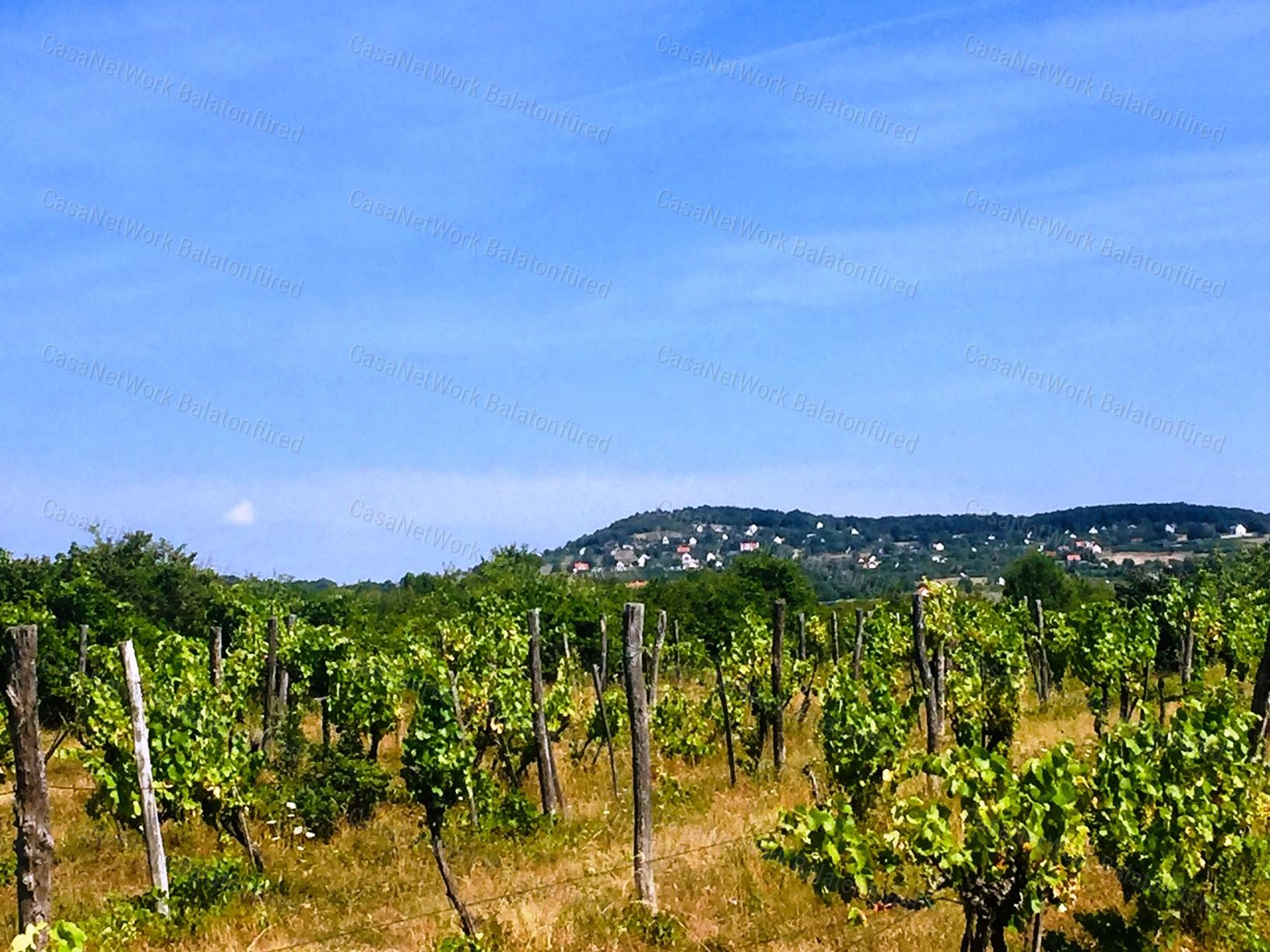 Részpanorámás terület