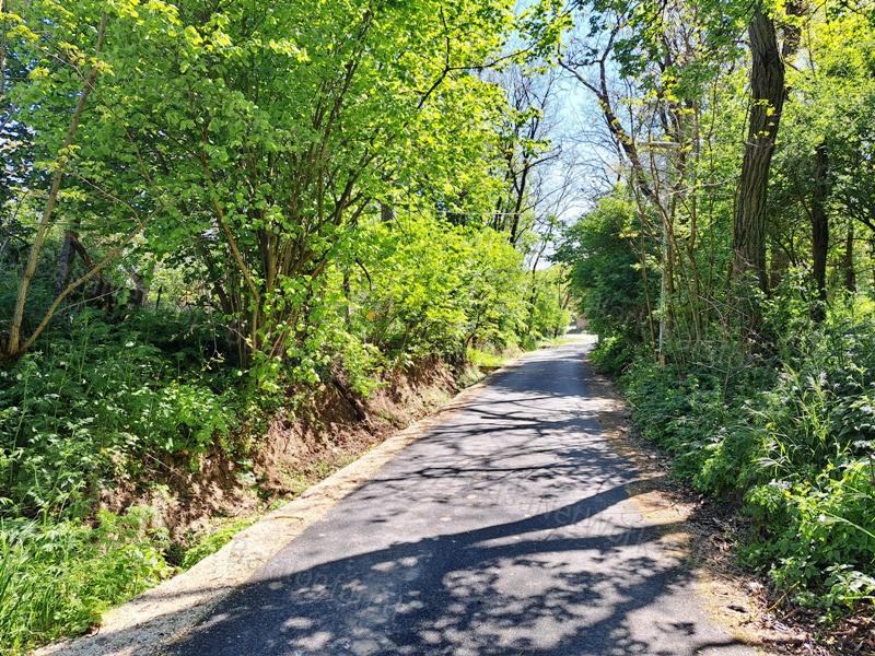 Csendes, természetközeli ÉPÍTÉSI TELEK eladó BALATONHENYÉN