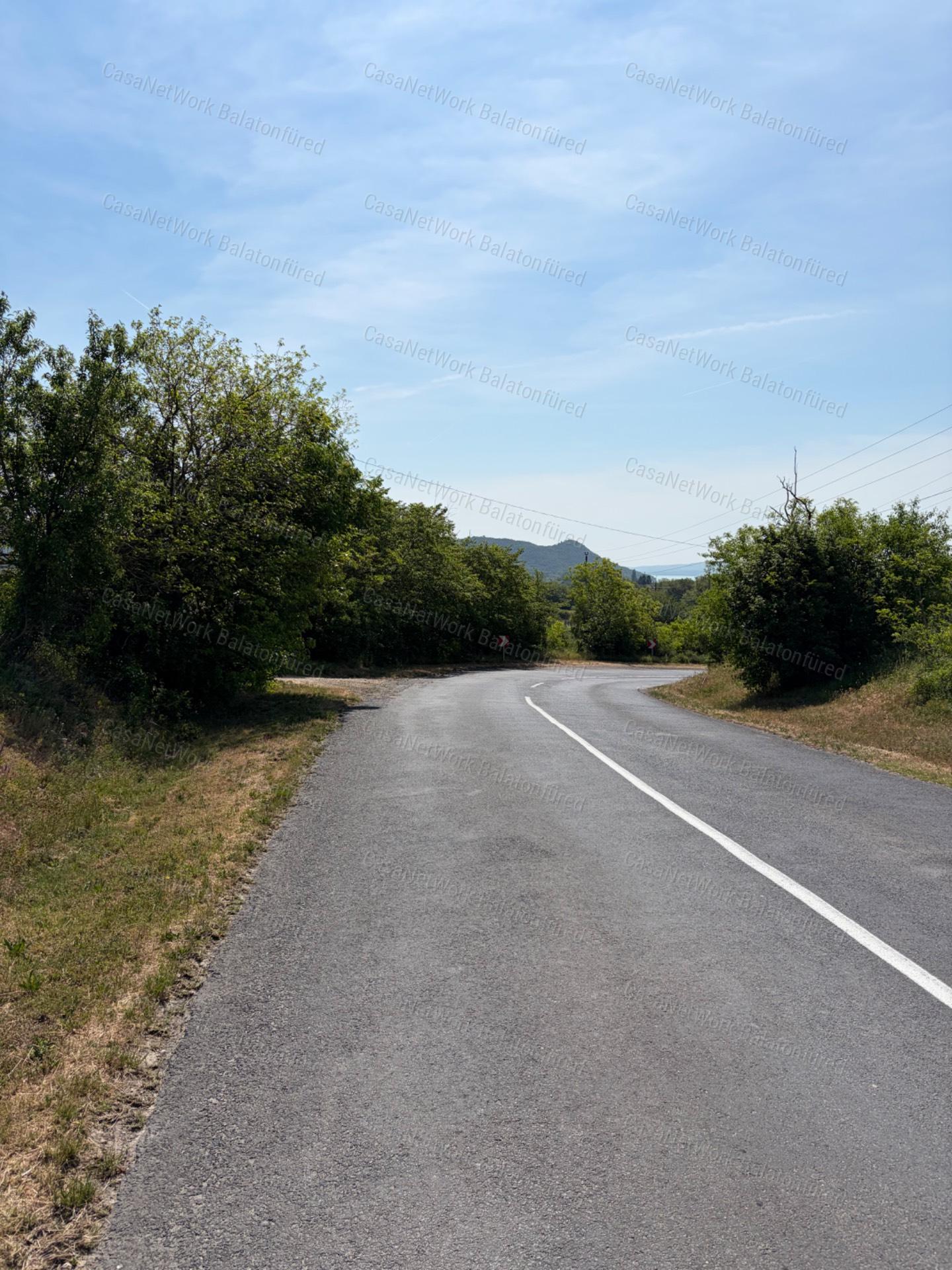 Panorámás SZŐLŐBIRTOK Balatonfüred és Aszófő között eladó