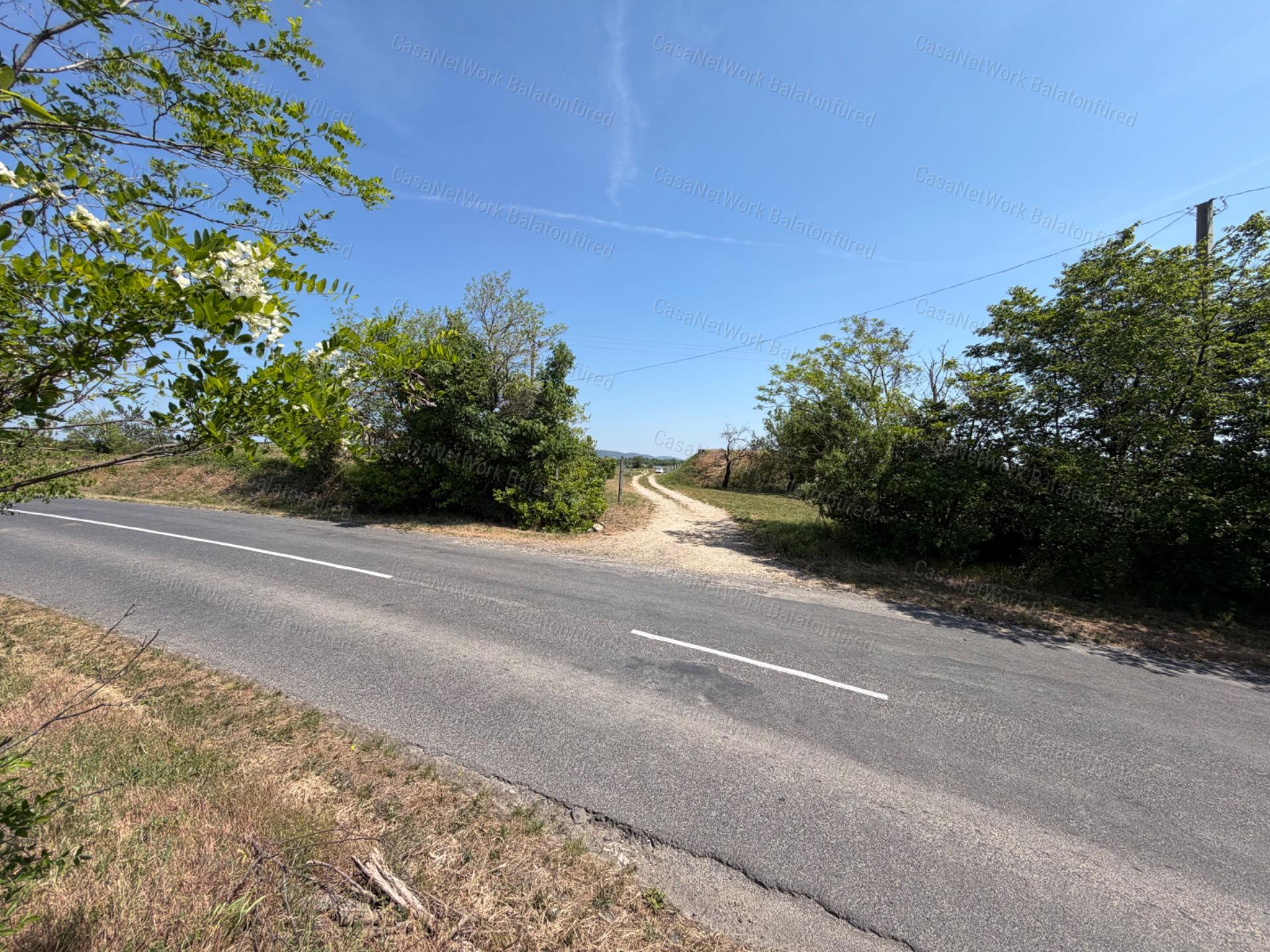 Panorámás SZŐLŐBIRTOK Balatonfüred és Aszófő között eladó