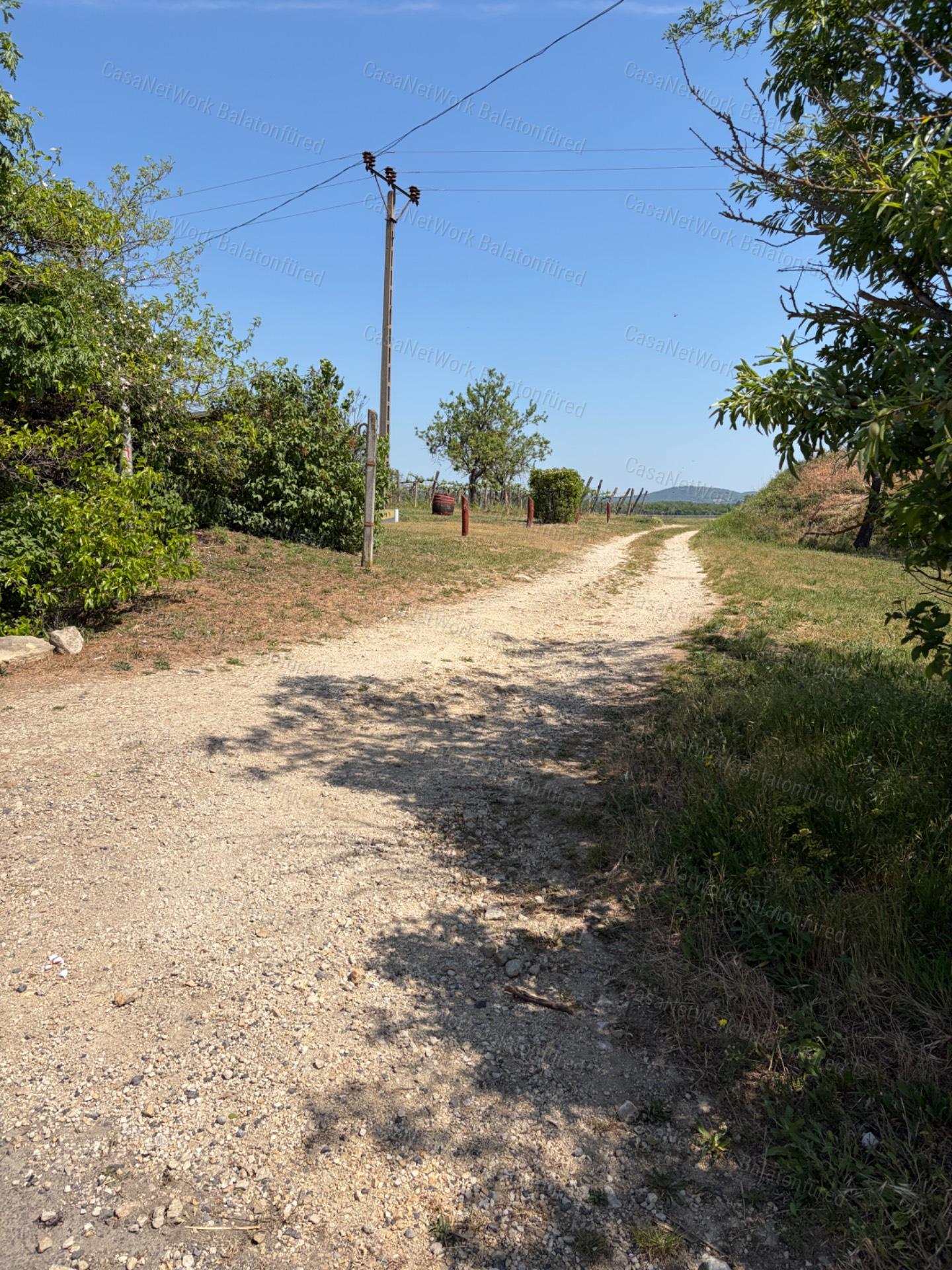 Panorámás SZŐLŐBIRTOK Balatonfüred és Aszófő között eladó