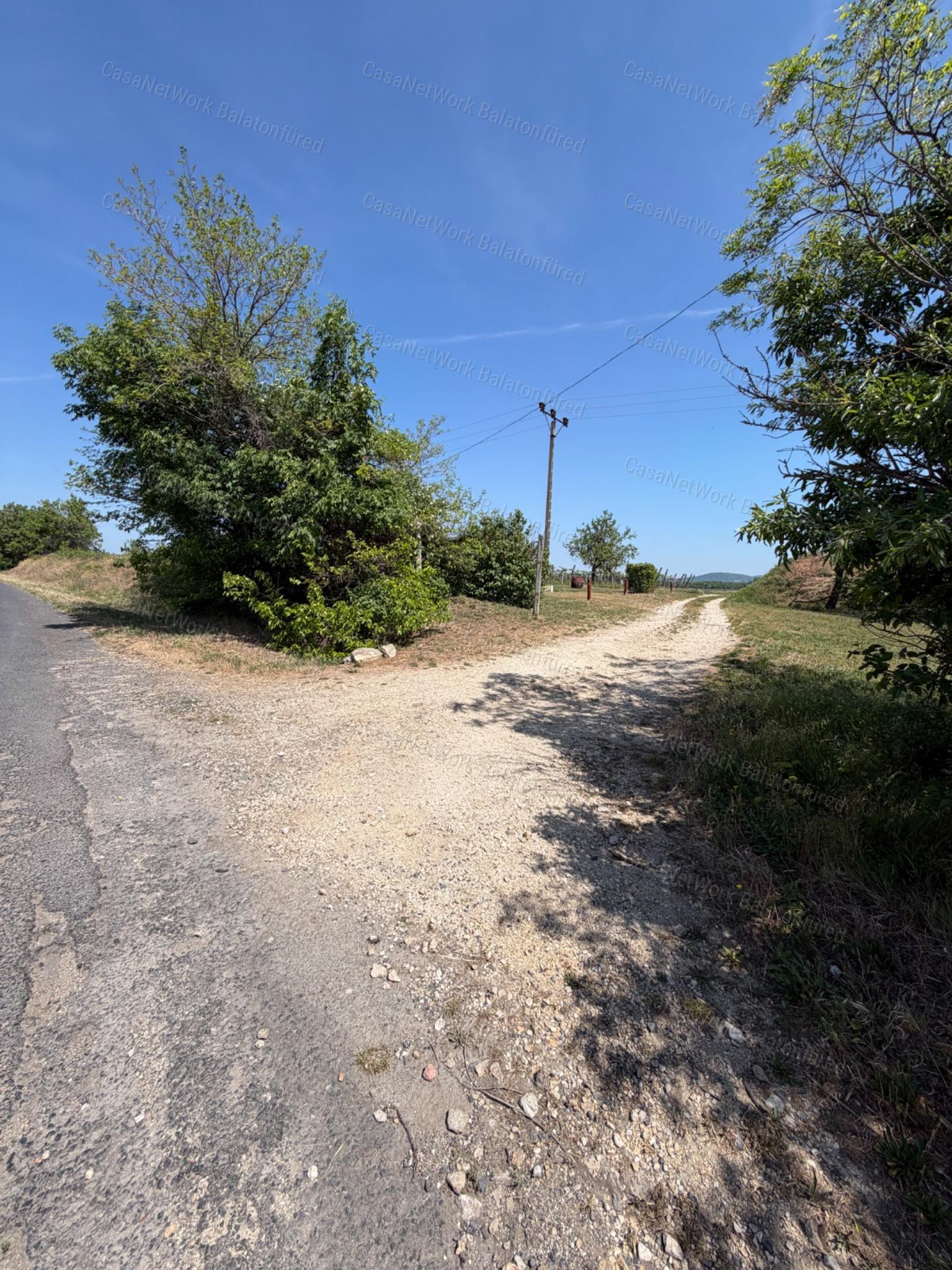 Panorámás SZŐLŐBIRTOK Balatonfüred és Aszófő között eladó