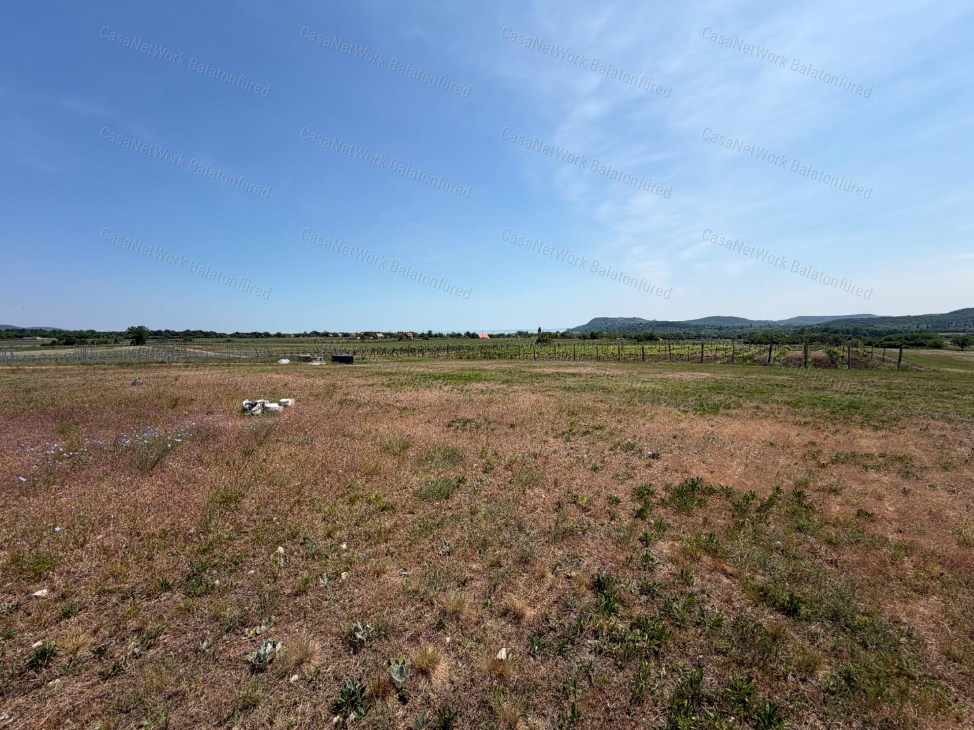 Panorámás SZŐLŐBIRTOK Balatonfüred és Aszófő között eladó